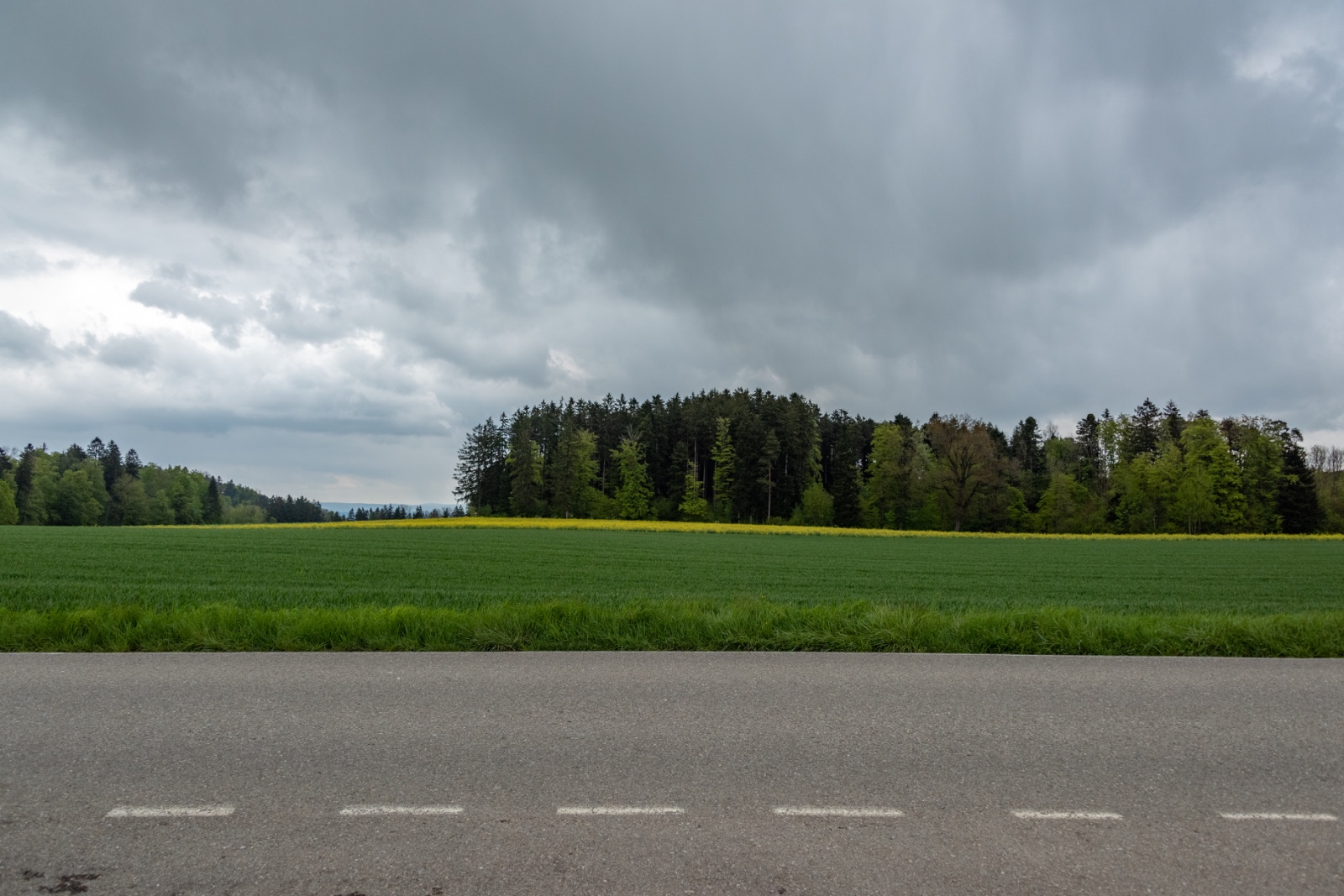  DSC3706