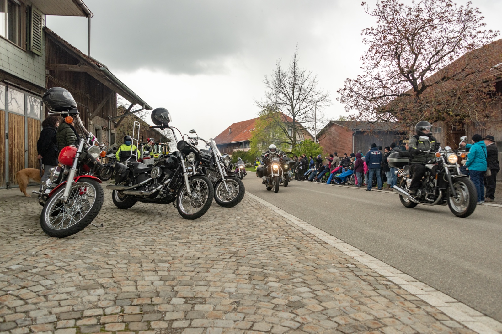  DSC3740