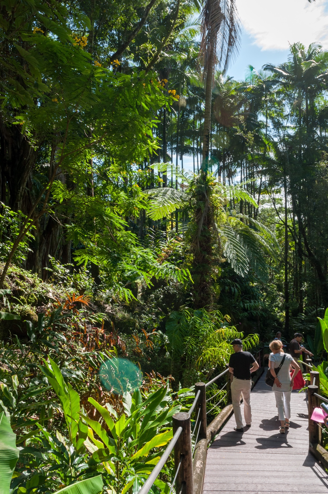 Botanischer Garten auf Hilo