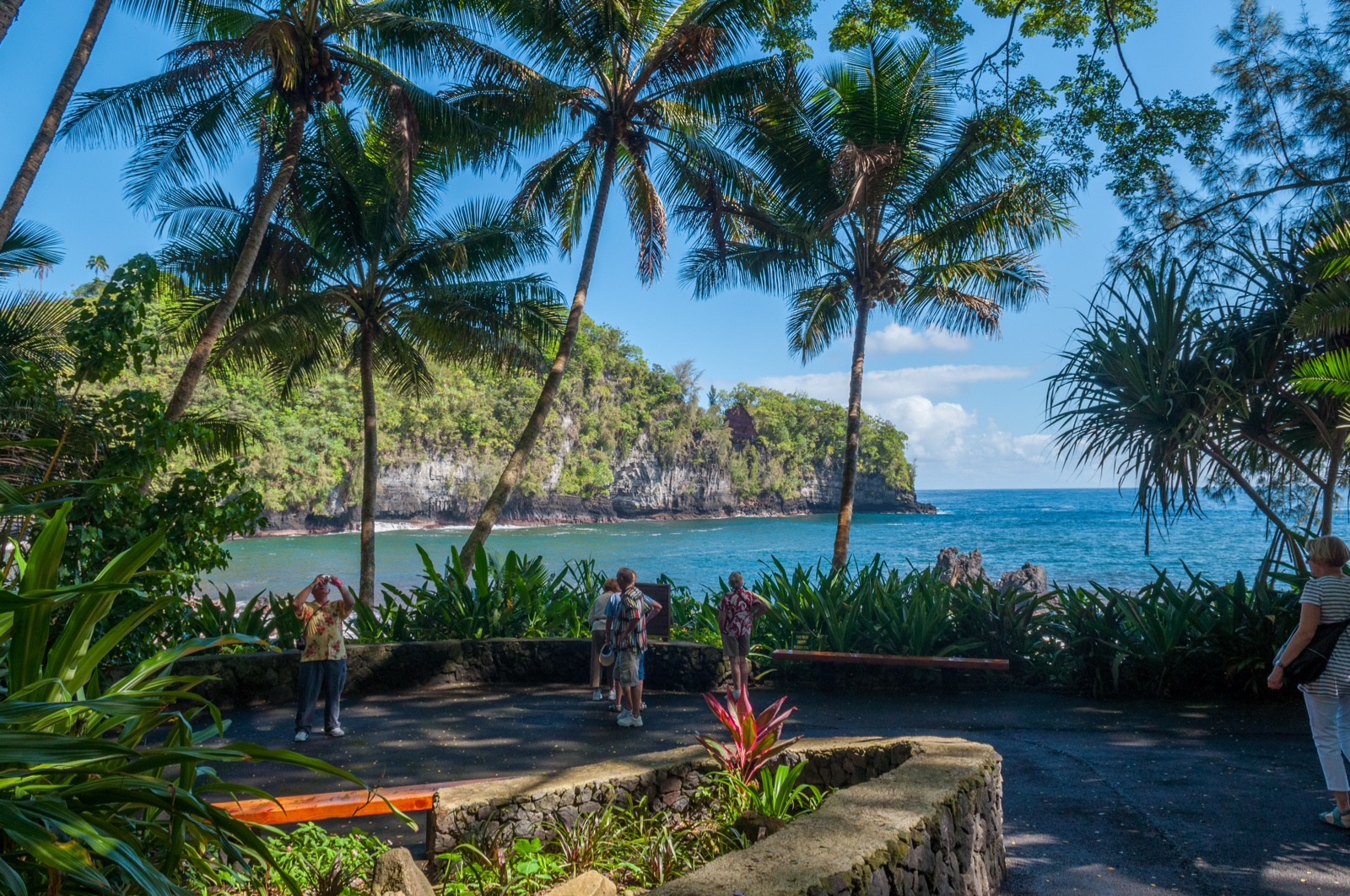 Botanischer Garten auf Hilo