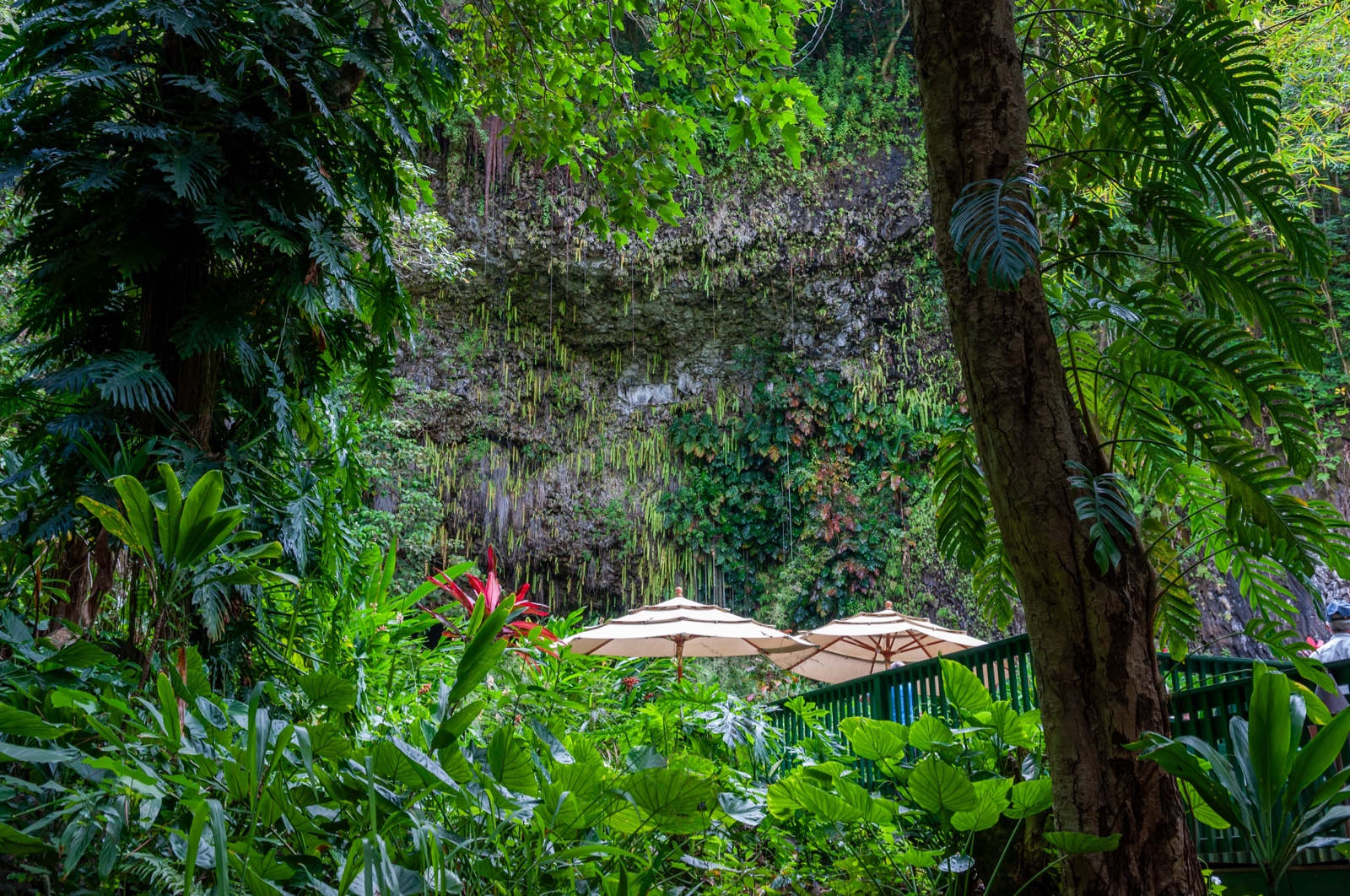 Wailua River auf der Insel Kauai