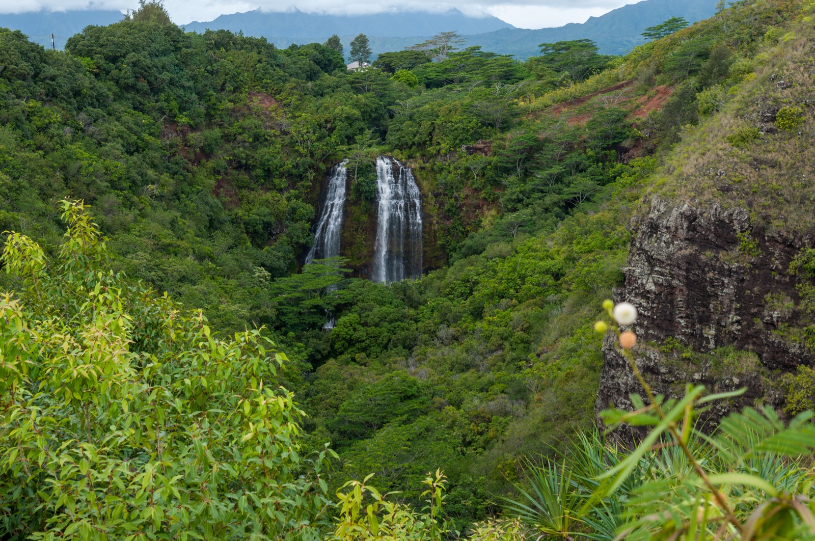 Wasserfall auf der Insel Kauai