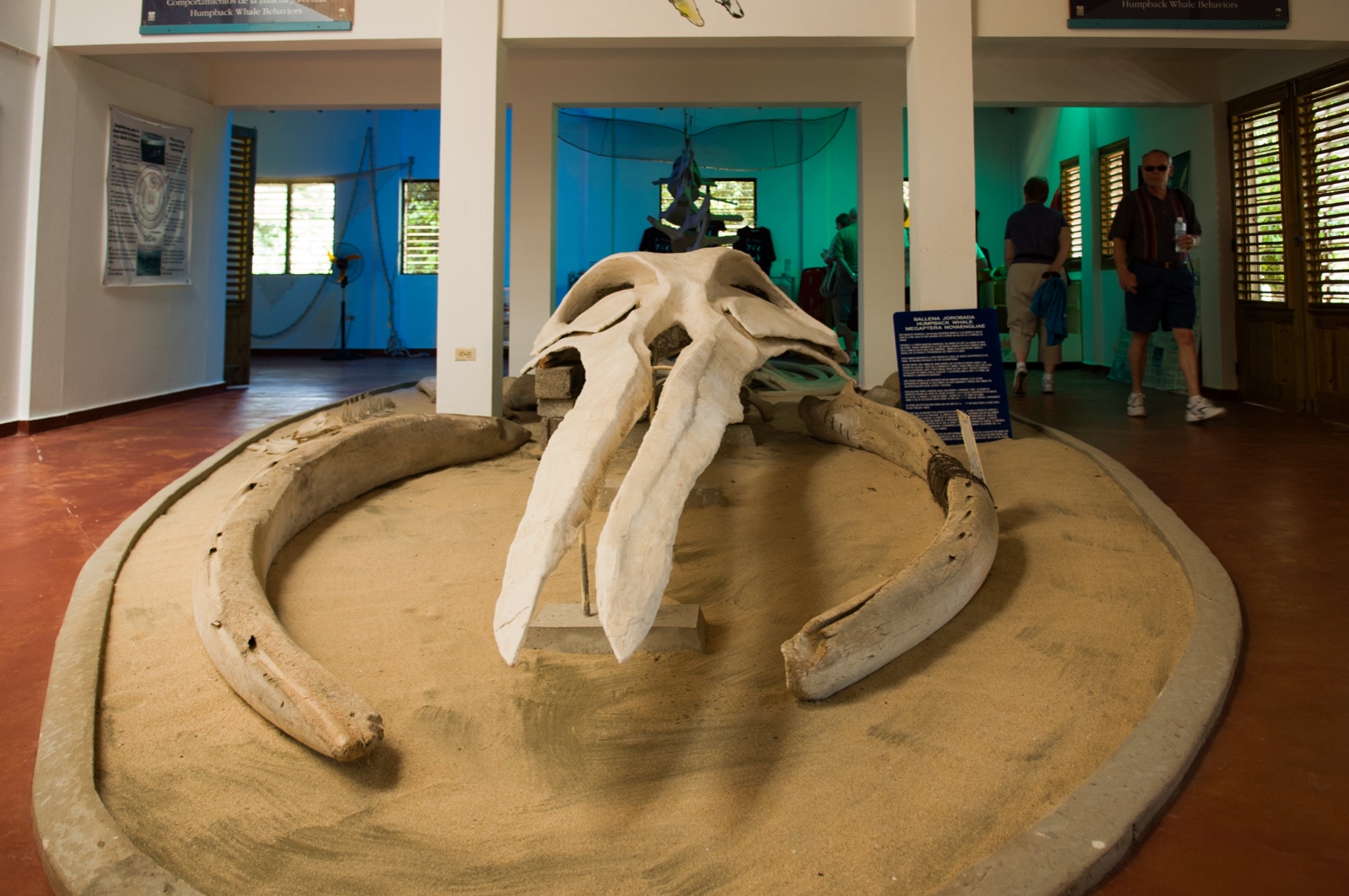 Walmuseum auf Samana