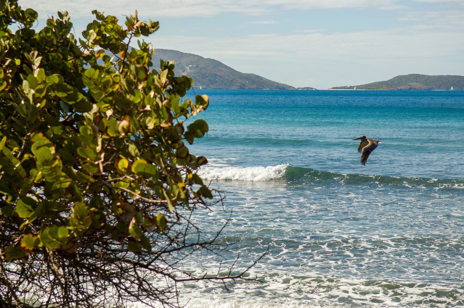 Tortola - British Virgin Islands