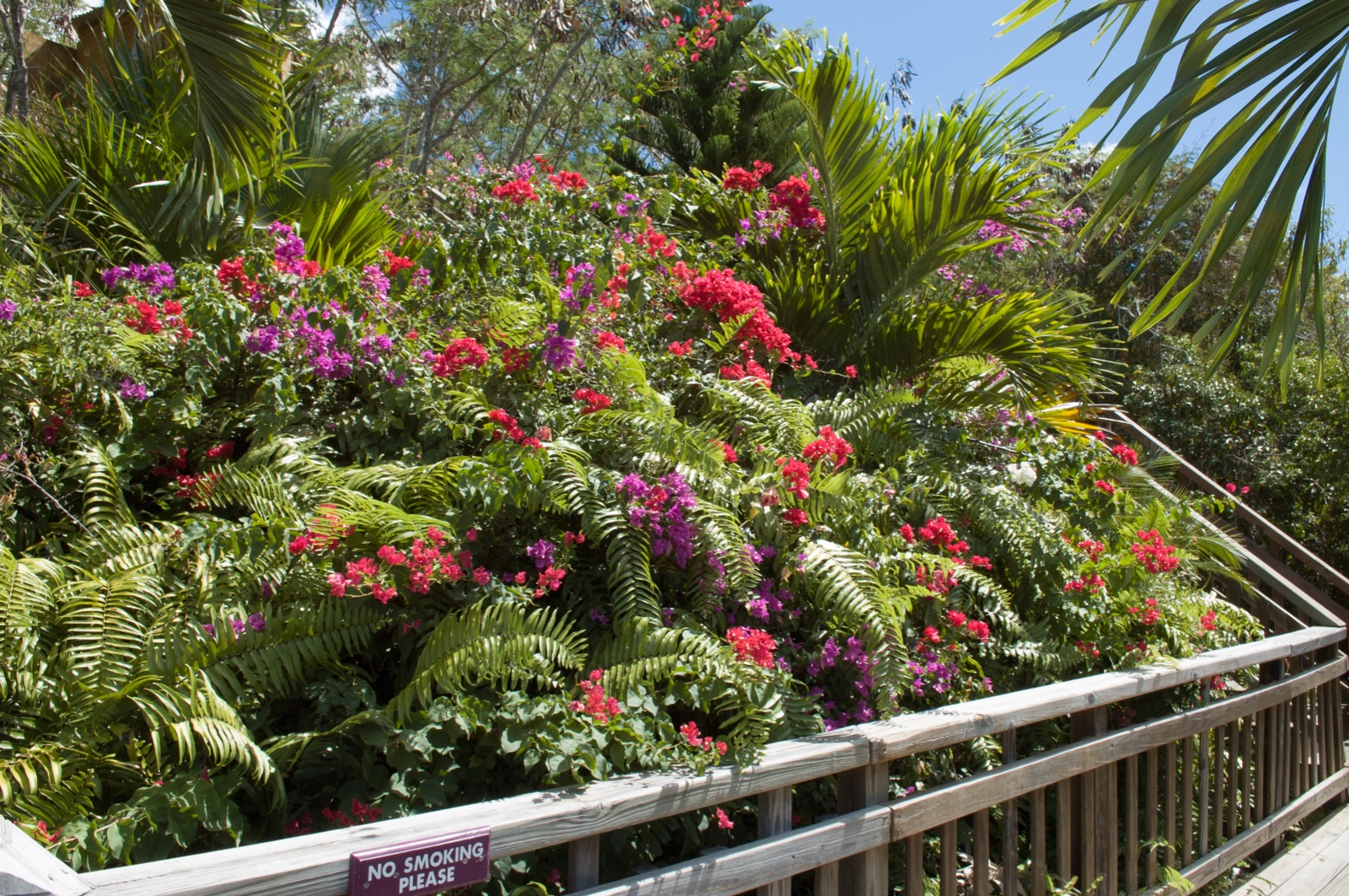 St. Thomas - US Virgin Islands