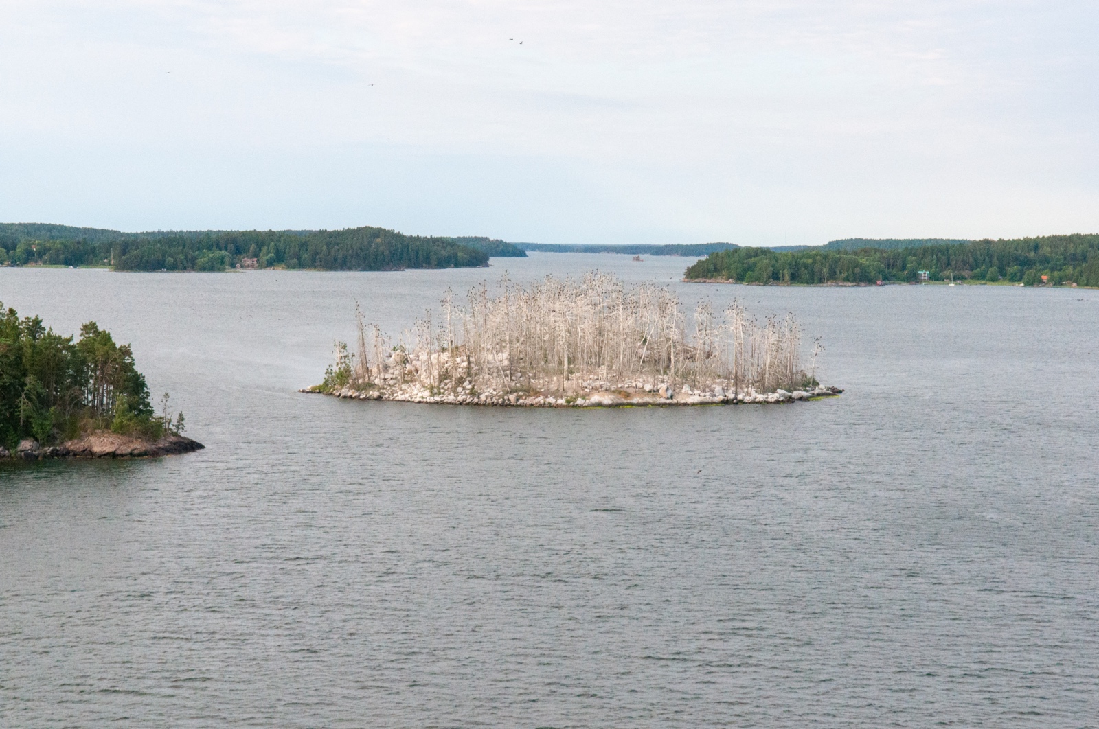 Vogelinsel bei Langholmen