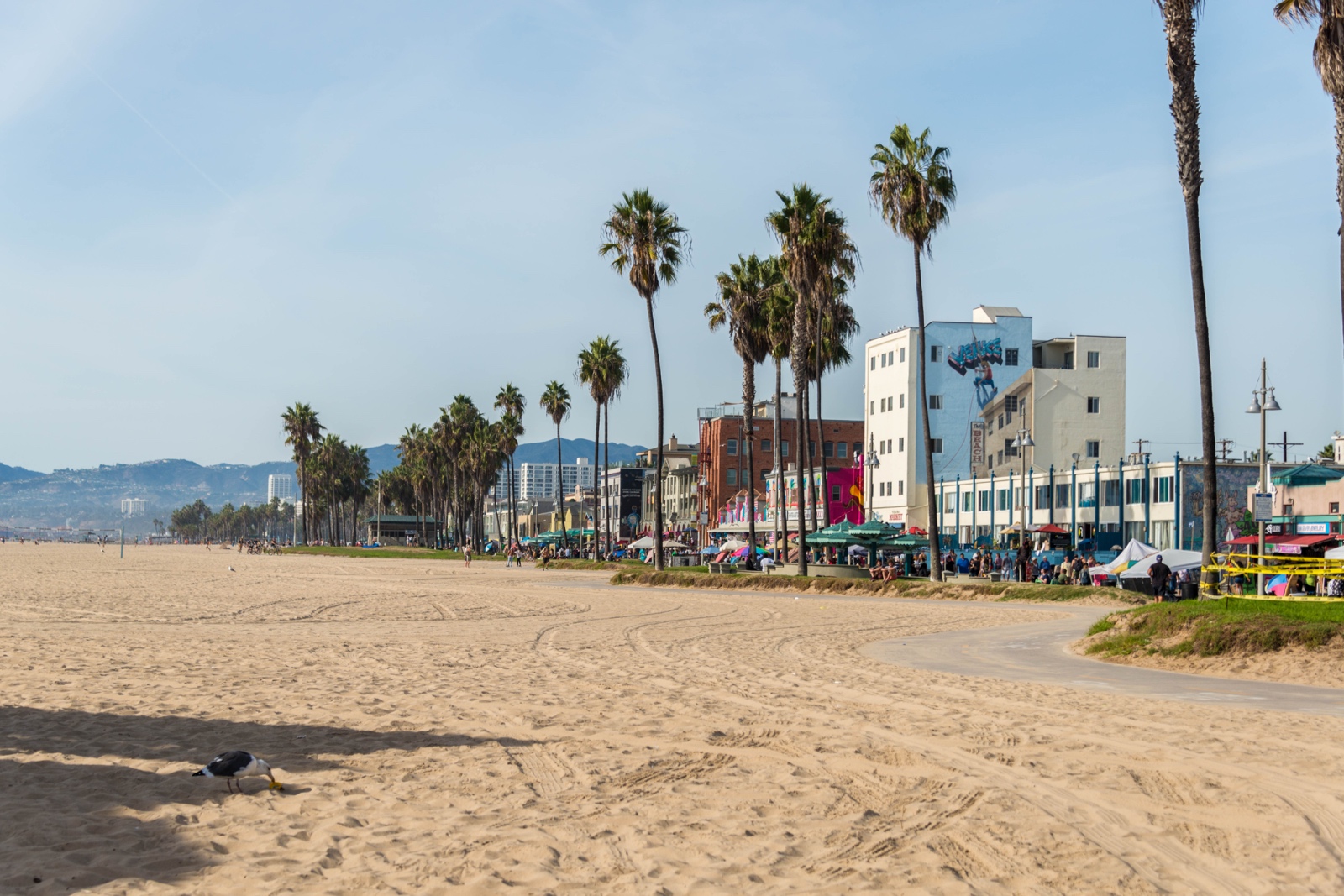 Venice Beach