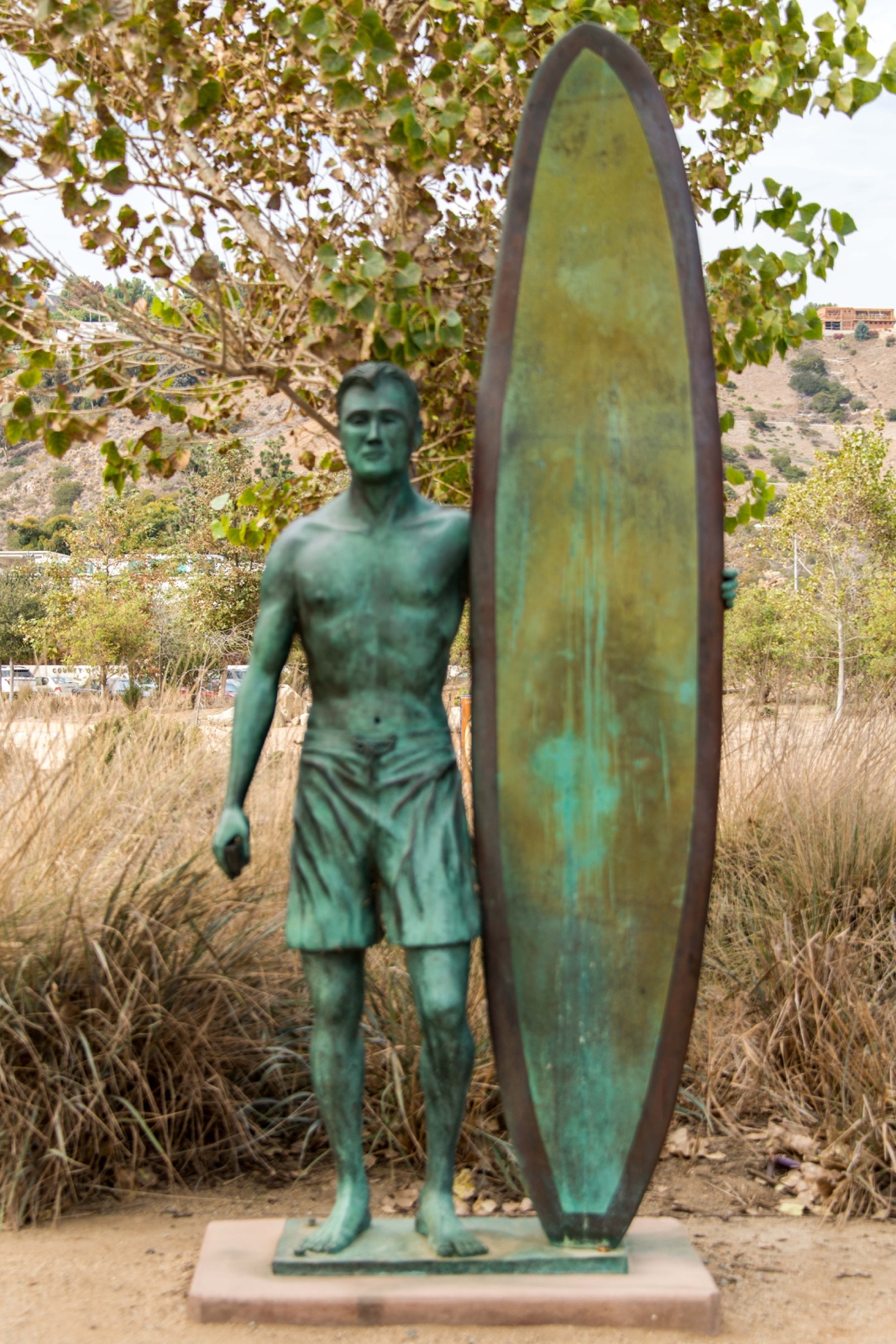 Surfer in Malibu