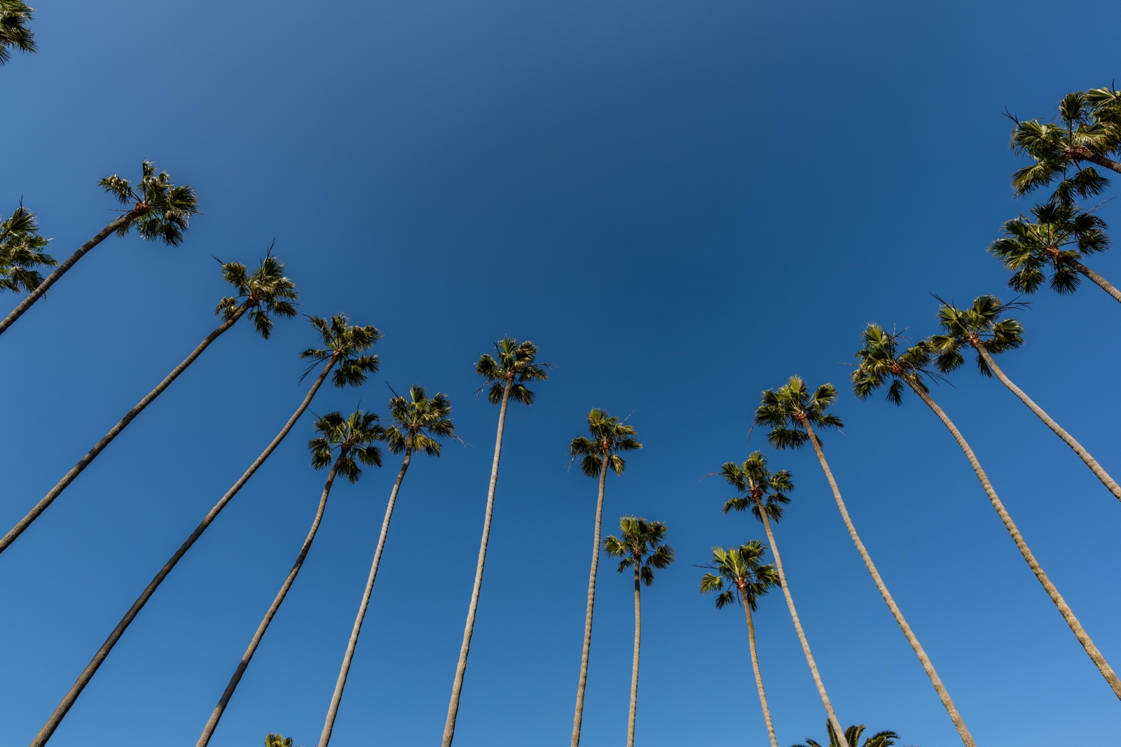 Santa Monica