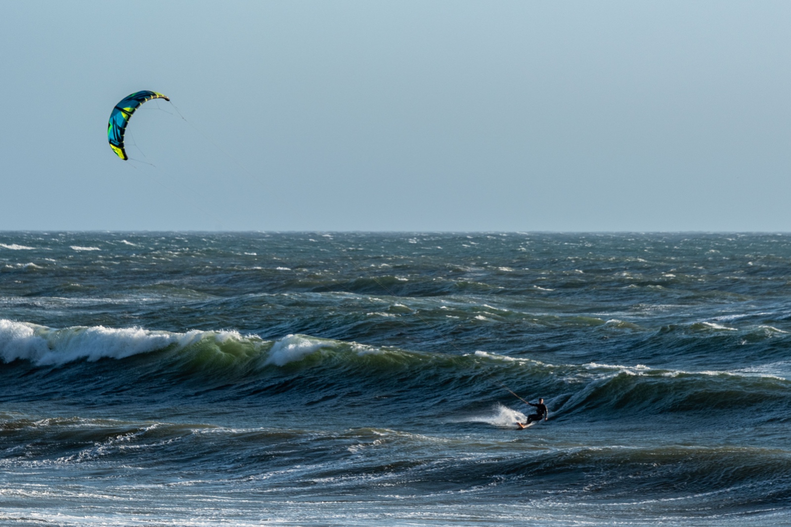 Malibu Surfer