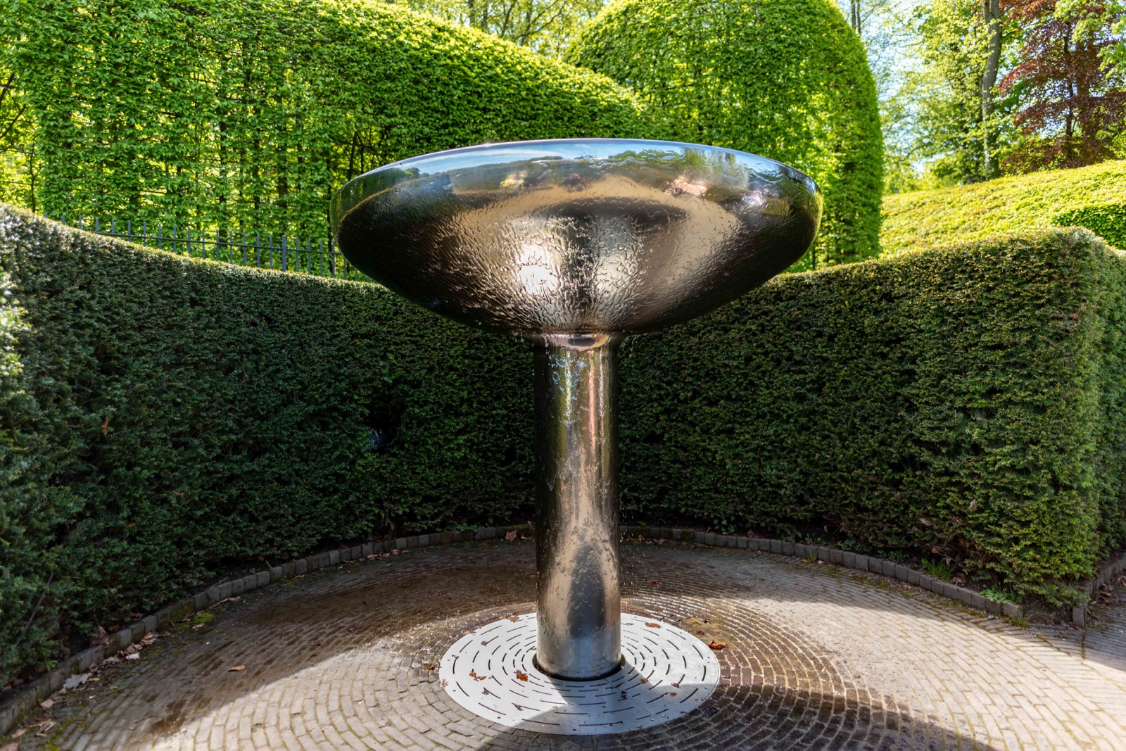  DSC1298