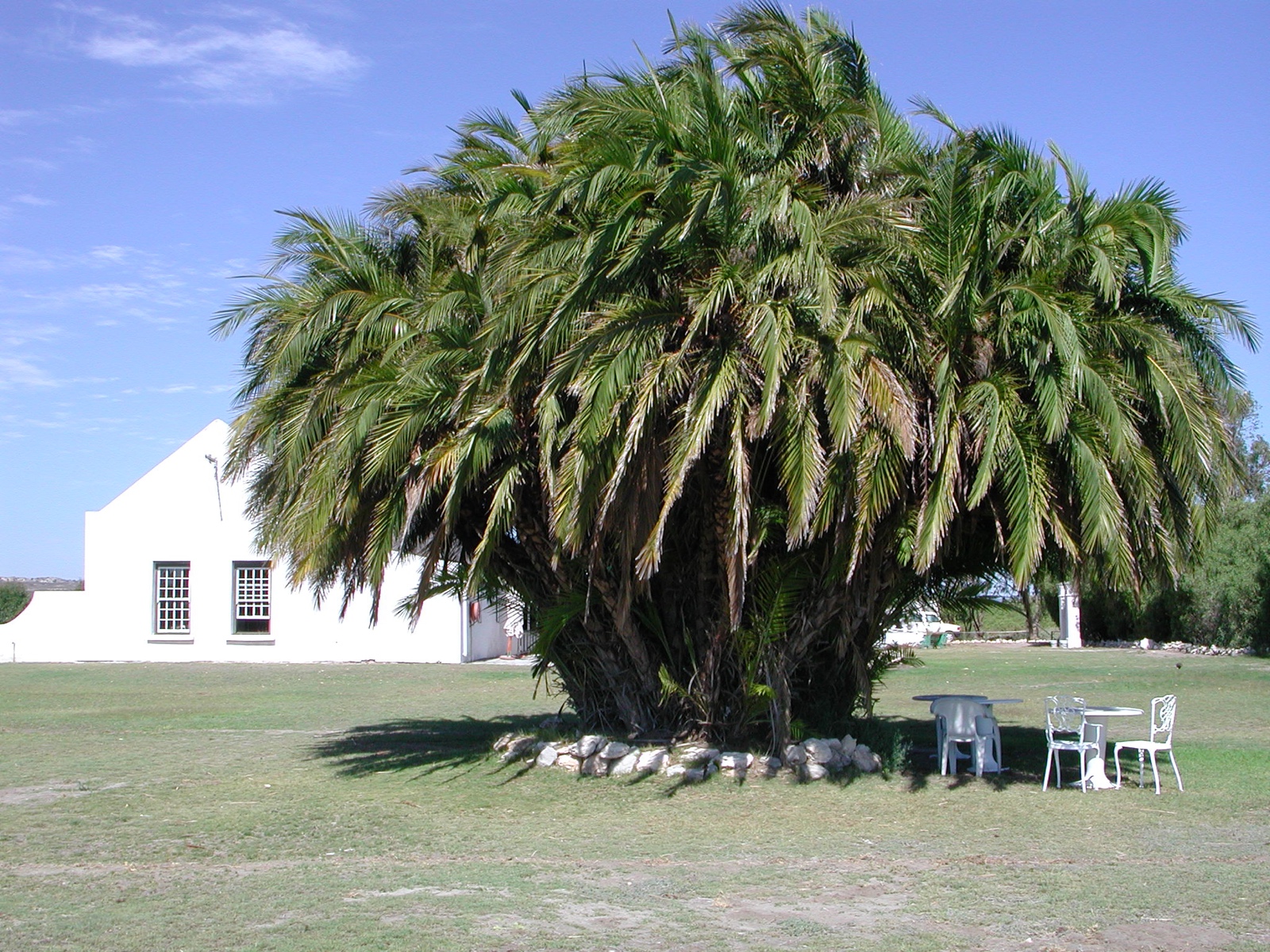Yzerfontein