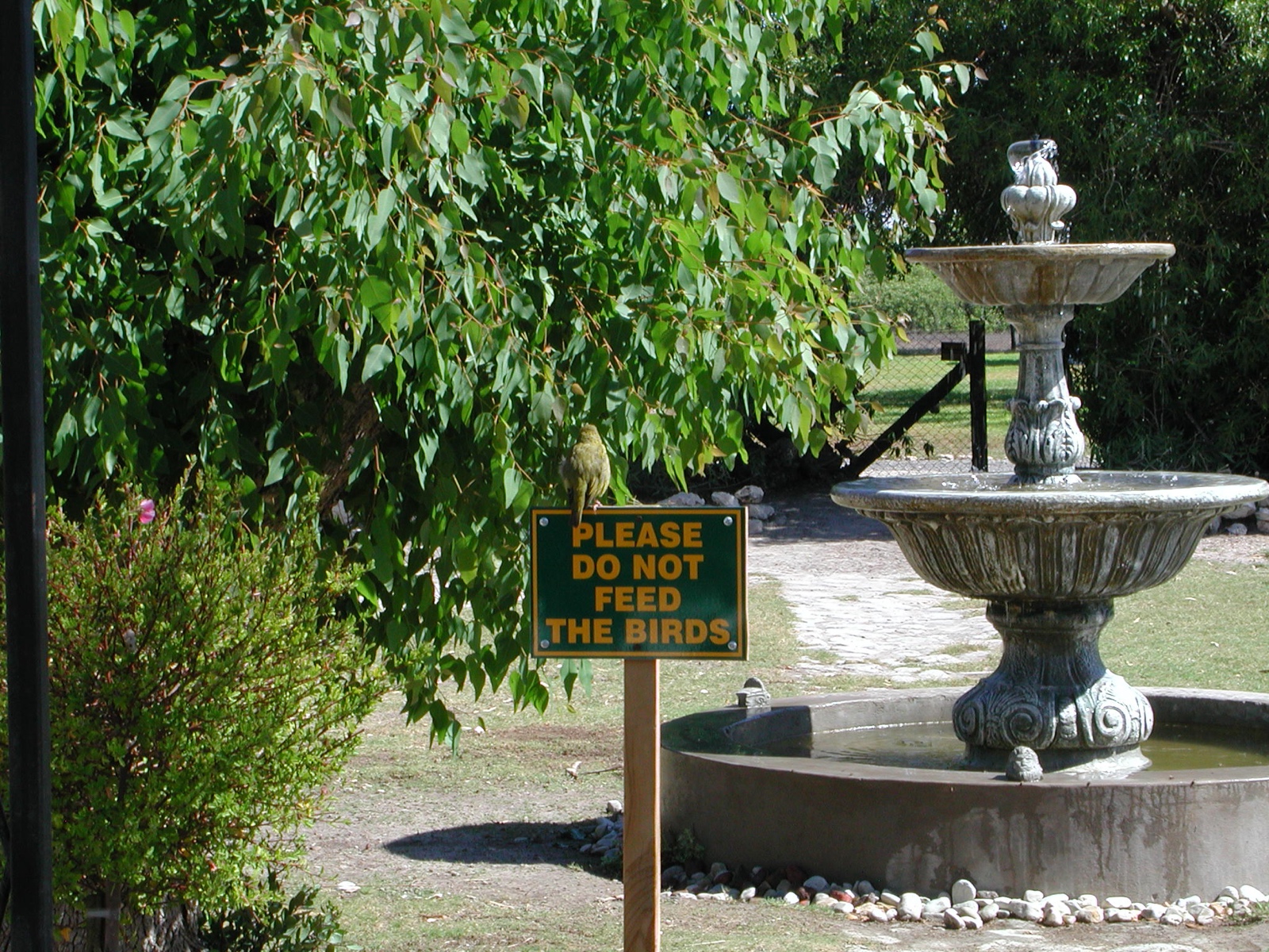 Yzerfontein