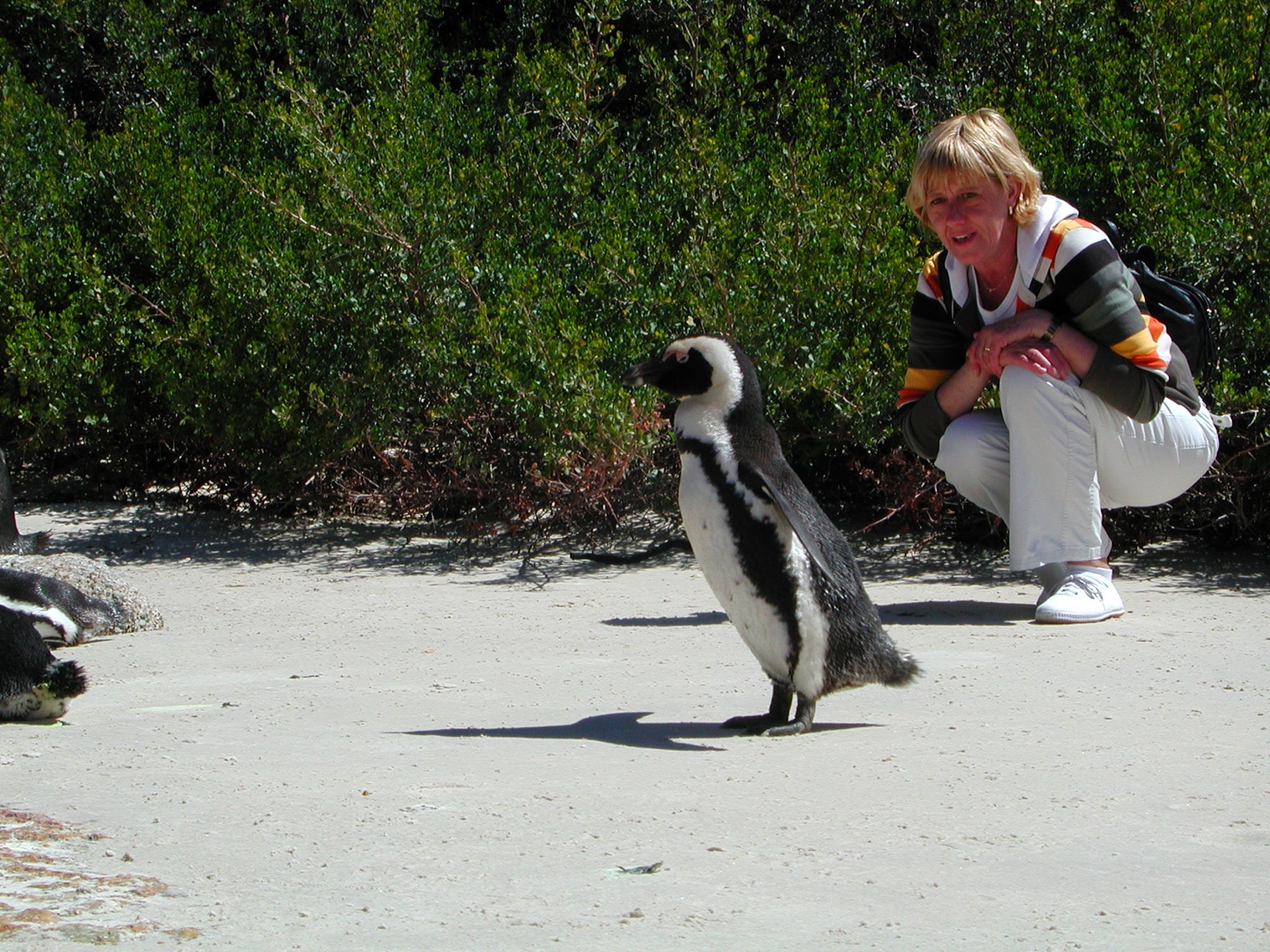 Simon's Town