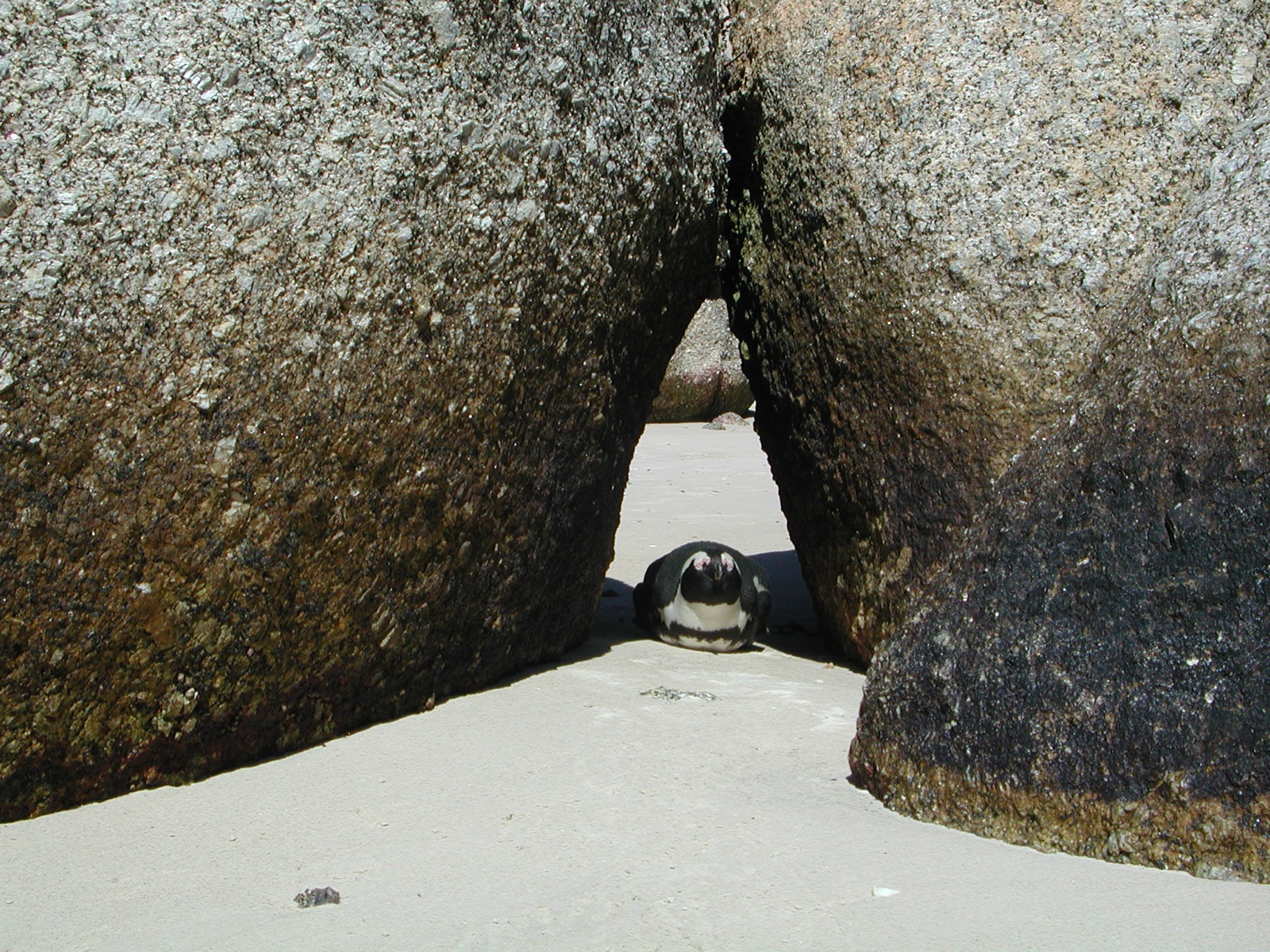 Simon's Town