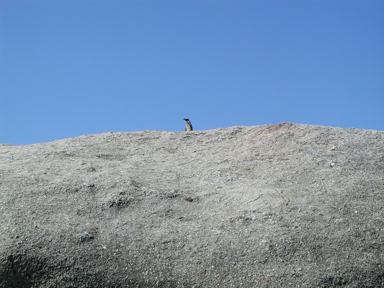 Simon's Town