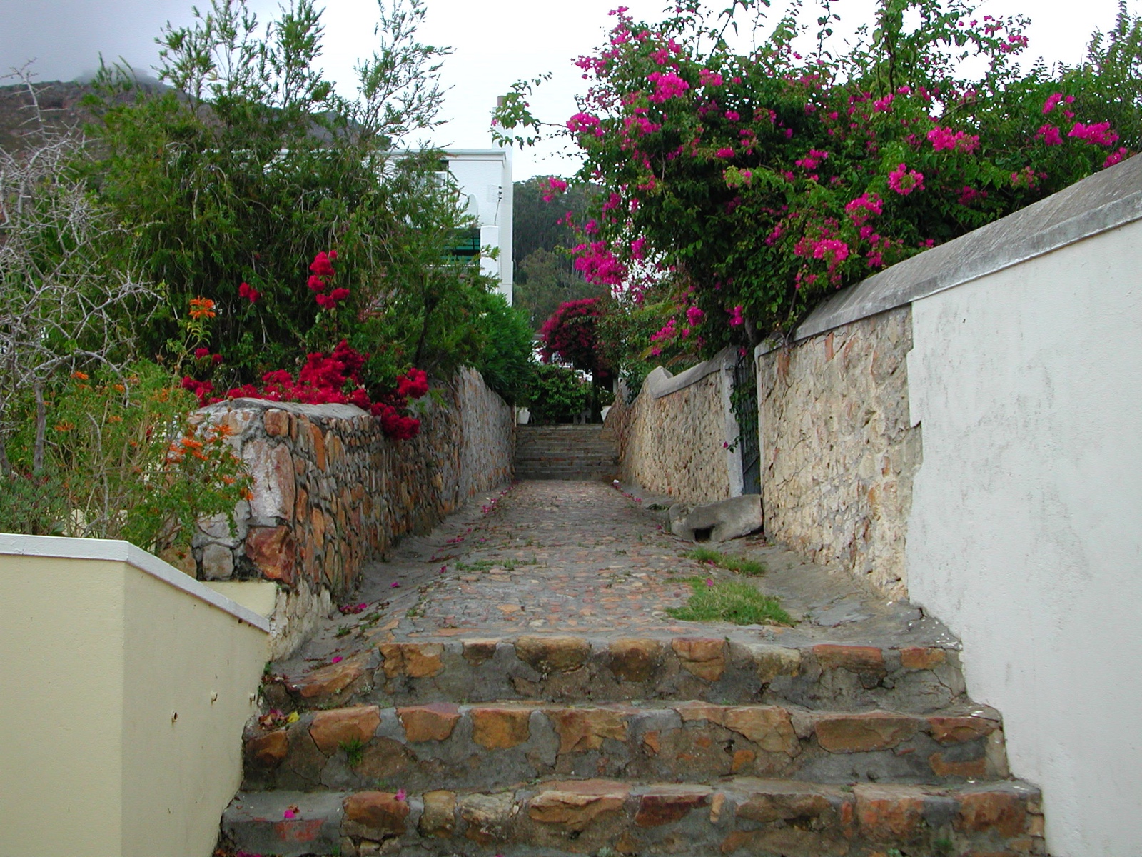 Simon's Town