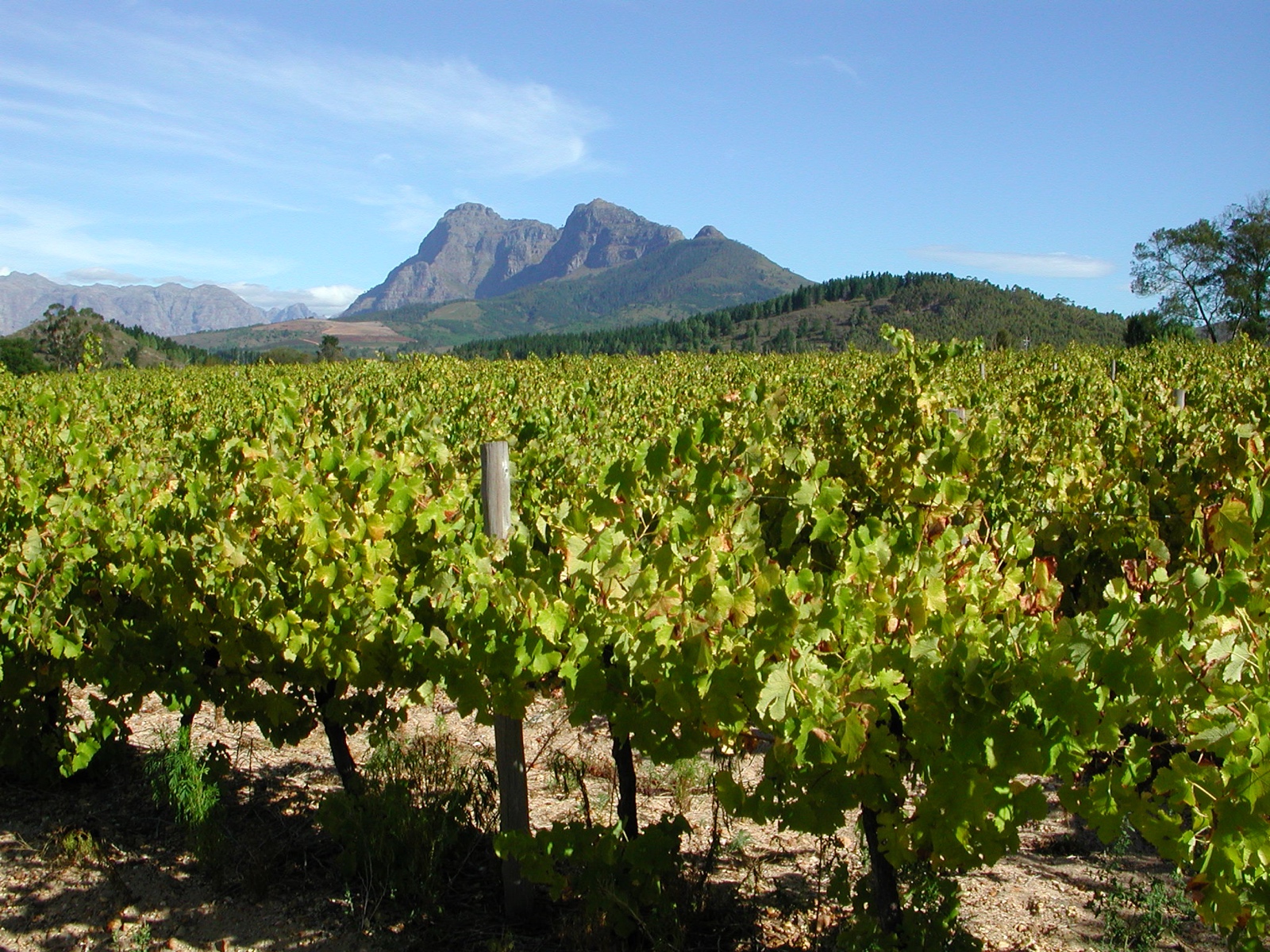 Franshoek