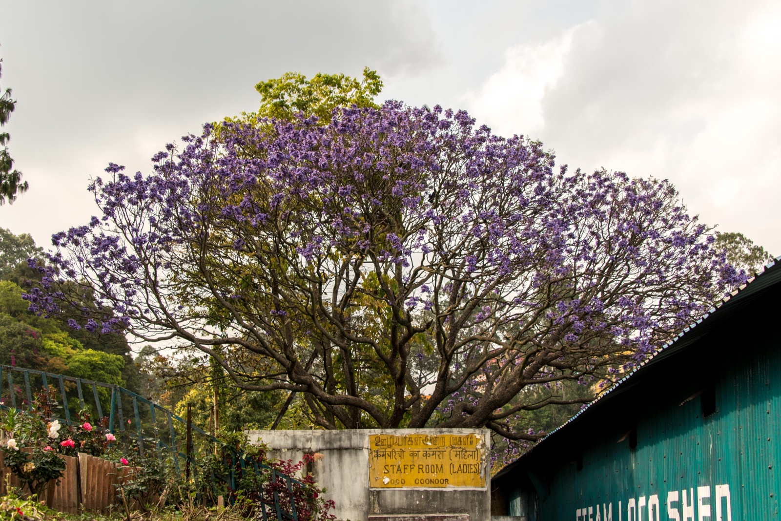 Bahnhof in Coonoor