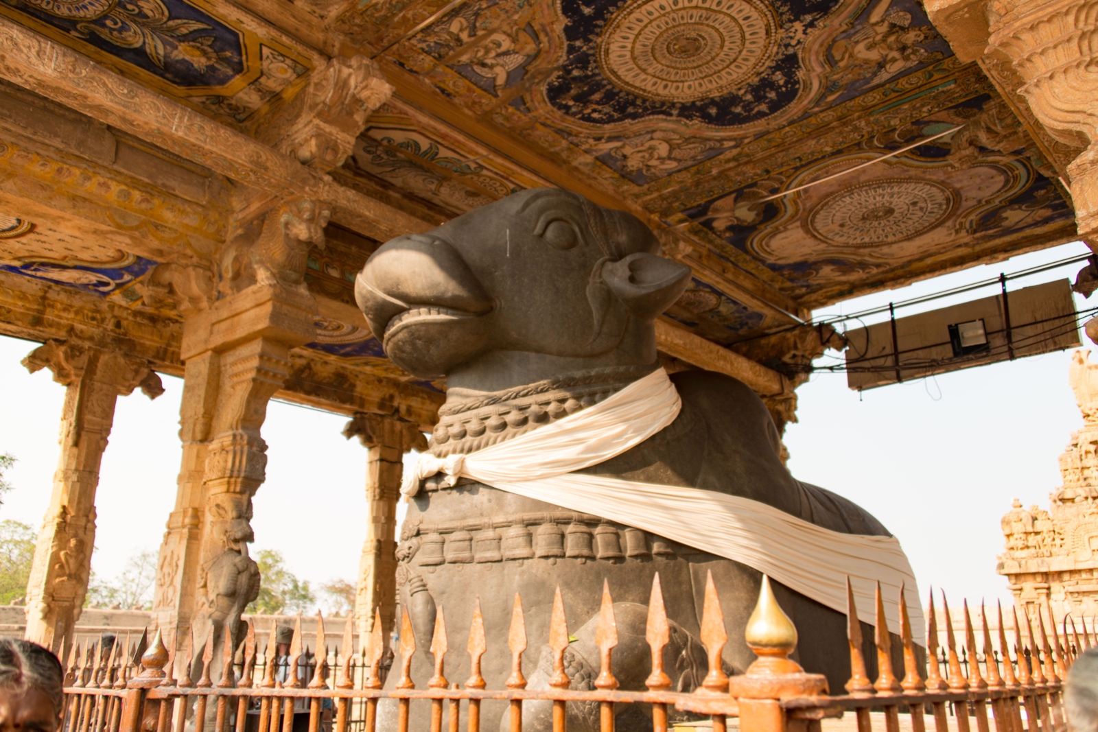 Heilige Kuh beim Brihadishwara Tempel in Thanjavur