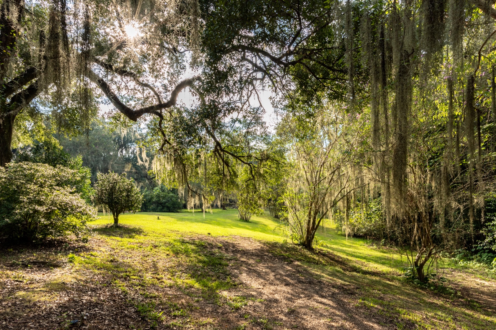 Ehemalige Baumwollplantage, Rosedown Plantation